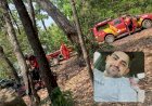 AS BUSCAS POR JOVEM RICARDO GUERRA CONTINUAM