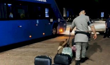 TÁTICO DO 3º BPM CONTA COM POLICIAMENTO CANINO