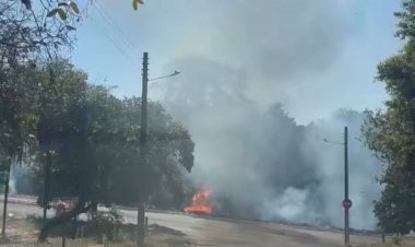 Moradores registram incêndio em vegetação na Vila de Furnas, em Minaçu