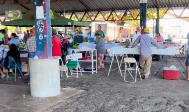 Feira coberta de Minaçu resiste ao tempo, mas carece de apoio do poder público