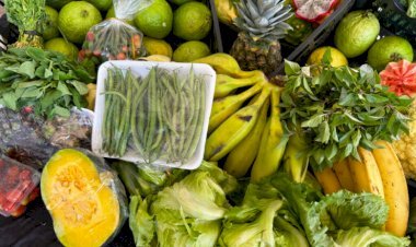 PAA QUILOMBOLA – Minaçu, Flores de Goiás e Cavalcante concentram 114 das 134 propostas aprovadas pela Secretaria Estadual da Agricultura: investimento de R$ 2 milhões