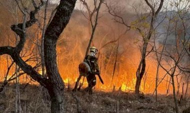 Incêndio atinge reserva indígena Avá-Canoeiro e destrói 25% do território em Goiás, em Minaçu e Cavalcante