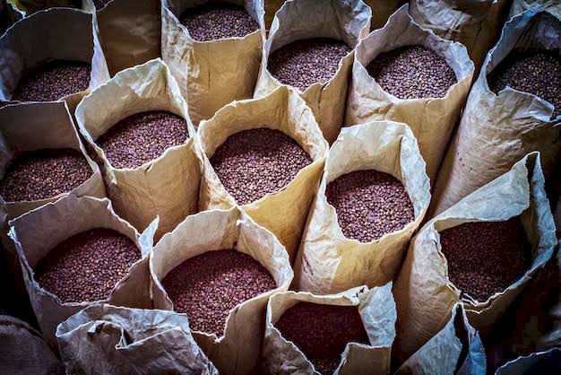 ALTA NO PREÇO DO CAFÉ LADRÕES FURTÃO ATÉ CAFÉ NO PÉ EM MINAS GERAIS