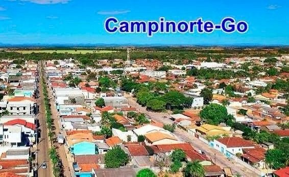 Adolescente atira no pai após presenciar agressões em Campinorte