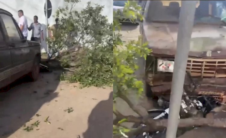 ACIDENTE EM PORANGATU UMA D-20 ARRANCOU UMA ÁRVORE E DEPOIS DESTRUIU UM BIZ QUE ESTAVA ESTACIONADA